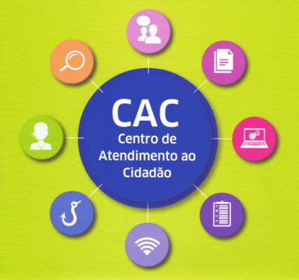 PRINCIPAIS SERVIÇOS PRESTADOS PELO CENTRO DE ATENDIMENTO AO CIDADÃO (CAC)
